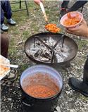 Veranstaltungsbild Ein Tag wie im JuNEP-Feriencamp
